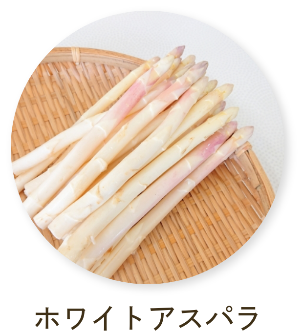 ホワイトアスパラガス