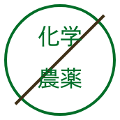化学農薬不使用
