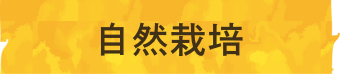 自然栽培