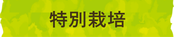 特別栽培